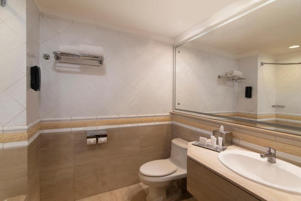 a bathroom with a toilet and a sink and a mirror at Catalonia Santo Domingo in Santo Domingo