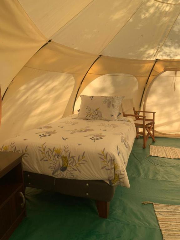 Postel nebo postele na pokoji v ubytování Glamping Remanso del Espíritu