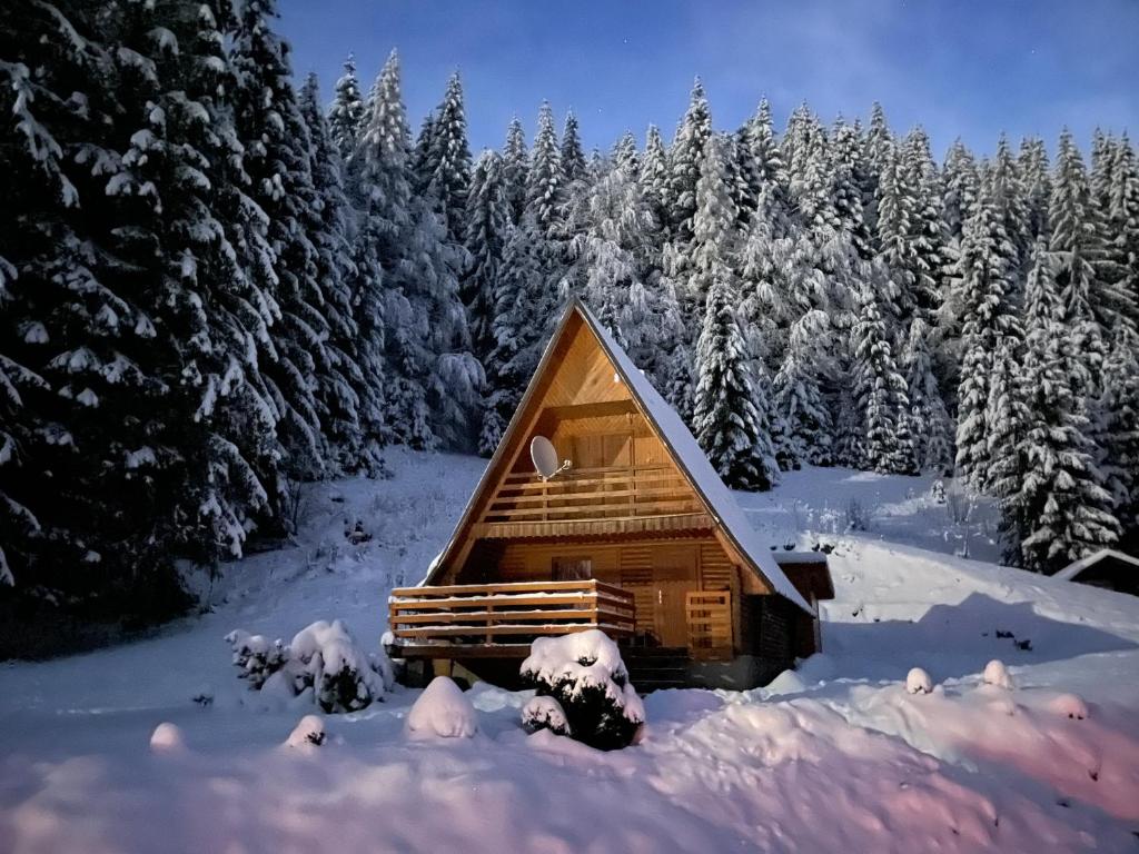 a log cabin in the snow with trees at Chata Hugo in Jarabá