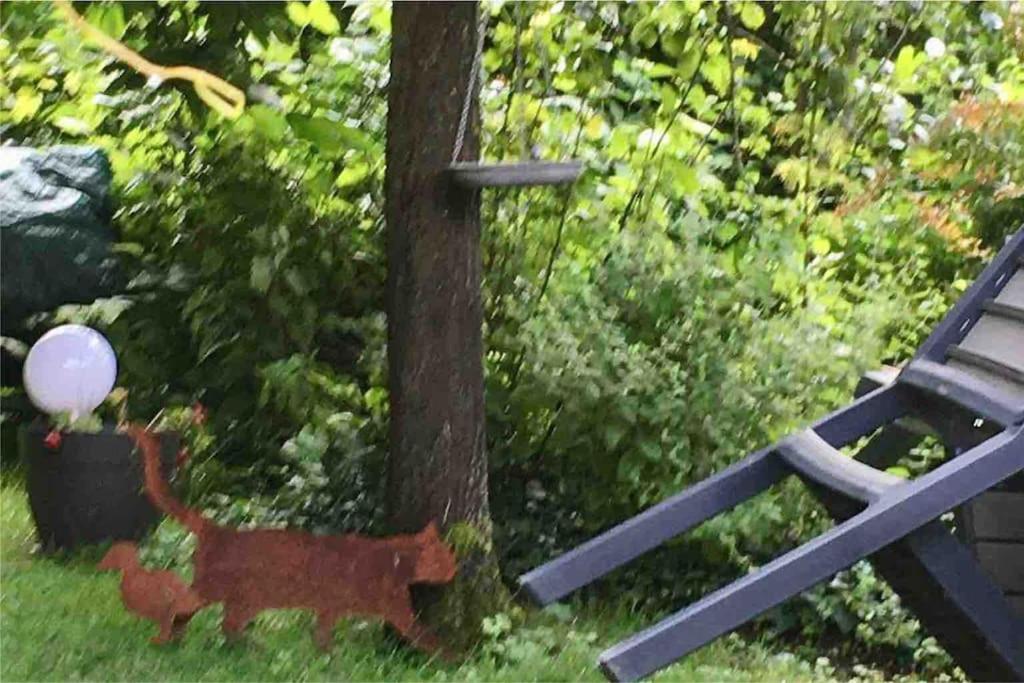 Fotografia z galérie ubytovania Maison au cœur du Parc Naturel de l'Avesnois v destinácii Choisies