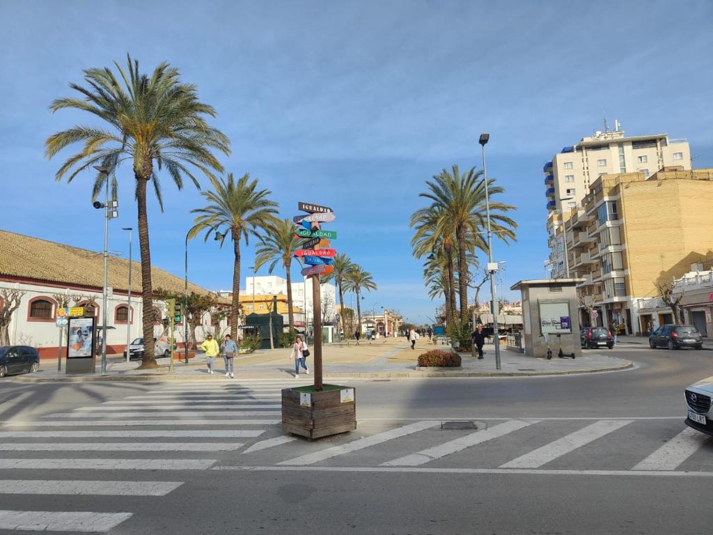 una calle de la ciudad con palmeras y un paso de peatones en Piso en Calzada duquesa Isabel, en Sanlúcar de Barrameda