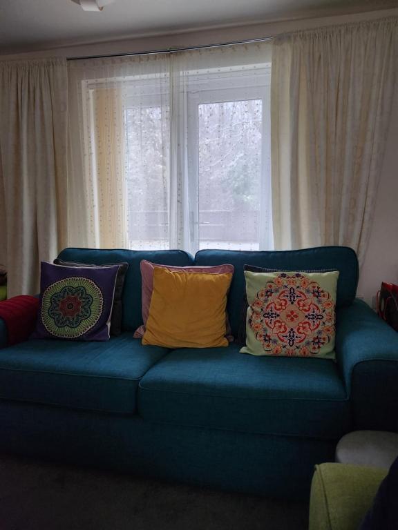 a blue couch with pillows sitting in front of a window at Rehoboth in Yew Gardens in Doncaster