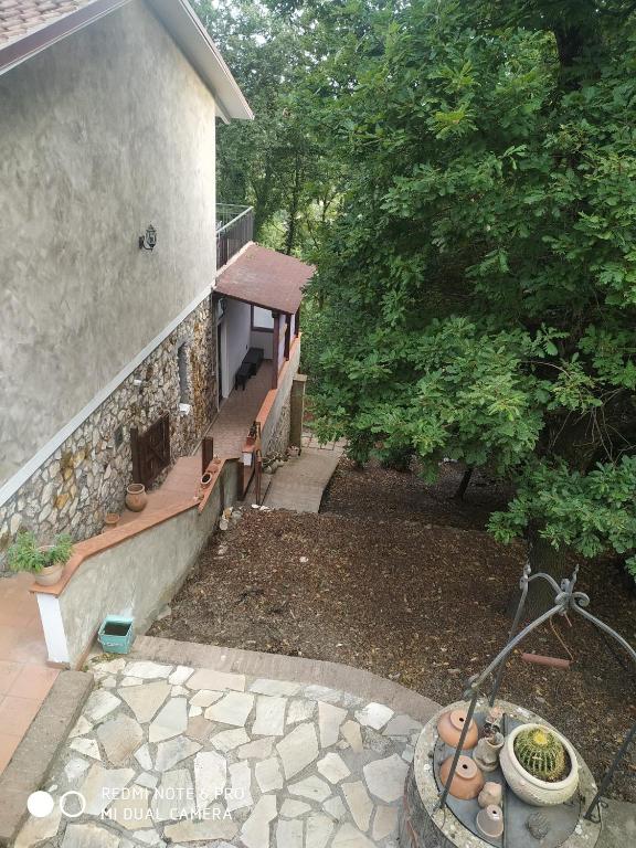 Zahrada ubytování Casa dei Faggi