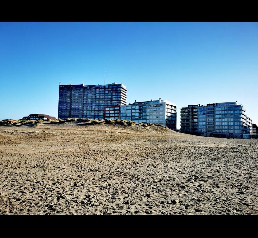 オーストダインケルケにあるHHVDK aan zeeの背景に高い建物が2棟ある海岸