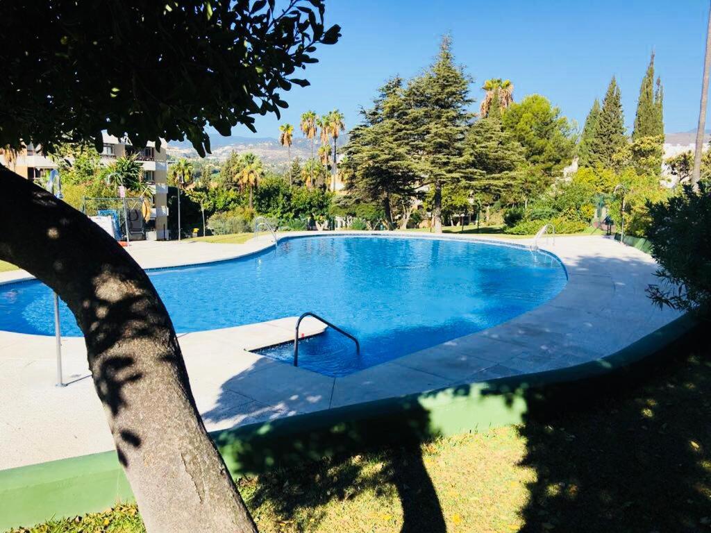 The swimming pool at or close to Fantastic apartment sea view near Puerto Banus