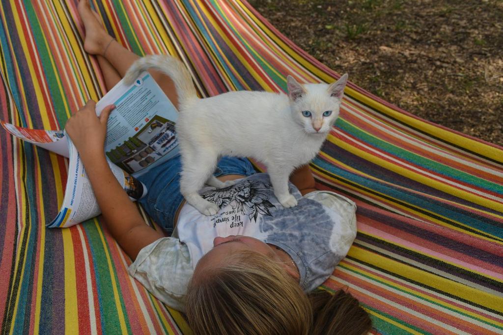 Zwierzęta zatrzymujące się w obiekcie azienda agrituristica la torretta