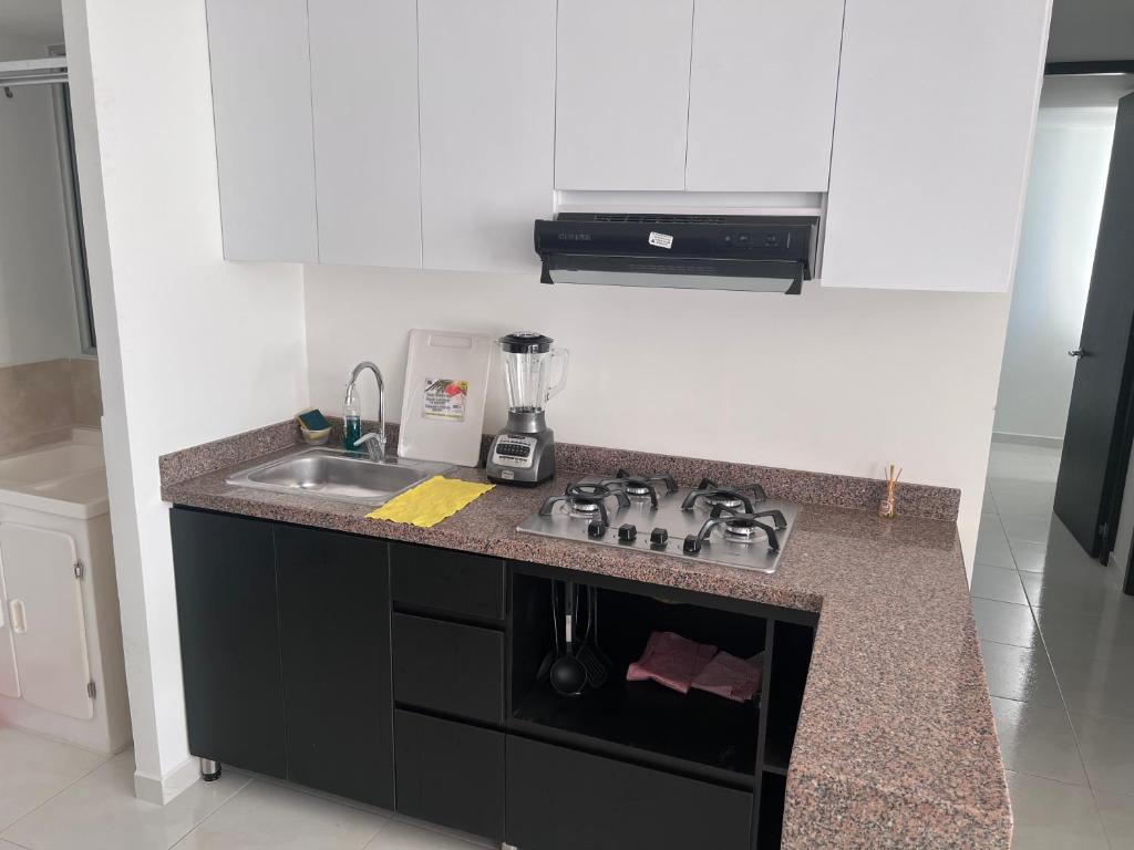 Kuchyň nebo kuchyňský kout v ubytování SILVER PARK