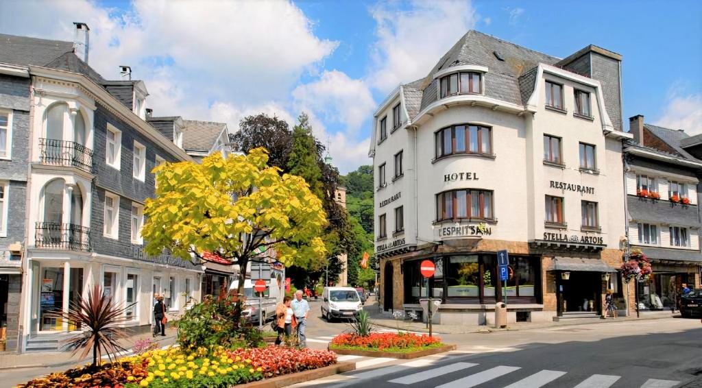 une rue de la ville avec un bâtiment blanc et un arbre dans l'établissement Hotel L'Esprit Sain, à Malmedy