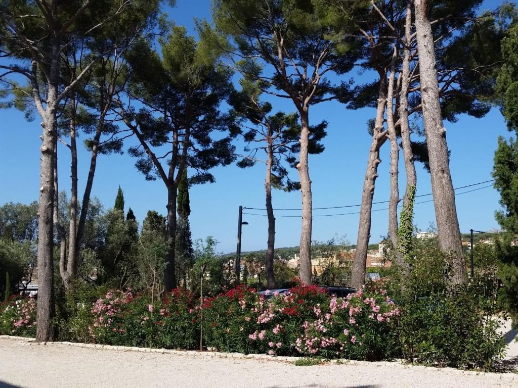 a garden with pink flowers and palm trees at HPC Suites - Cassis Centre - Parking Gratuit & Piscine Chauffée in Cassis