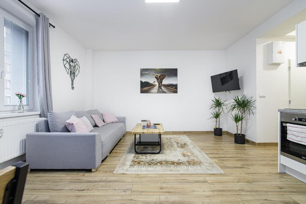 Apartment Hotel STUD MB - 1