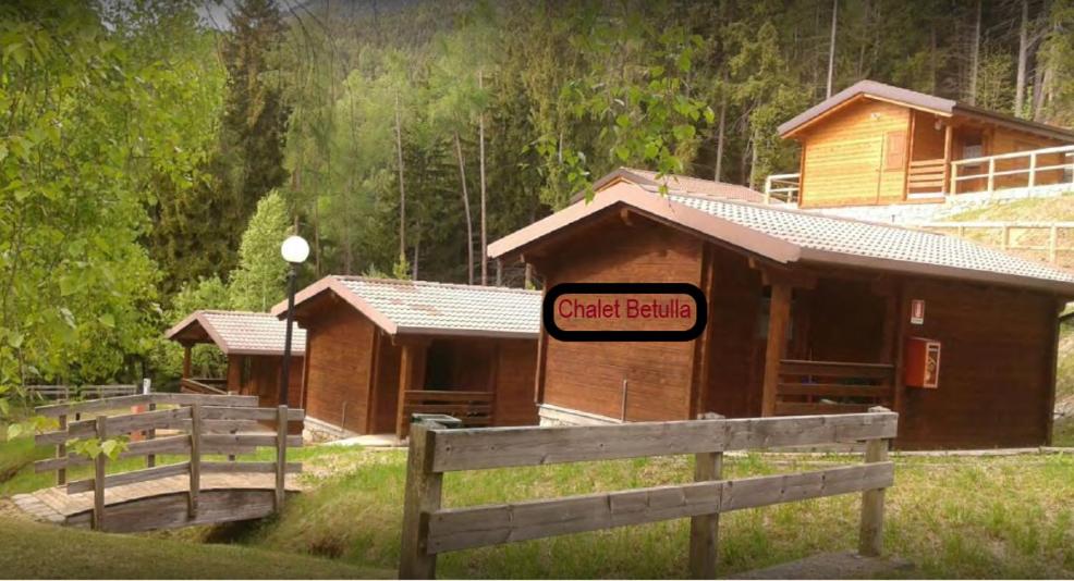 Camping & Chalet Pian della Regina - One-Bedroom Chalet
