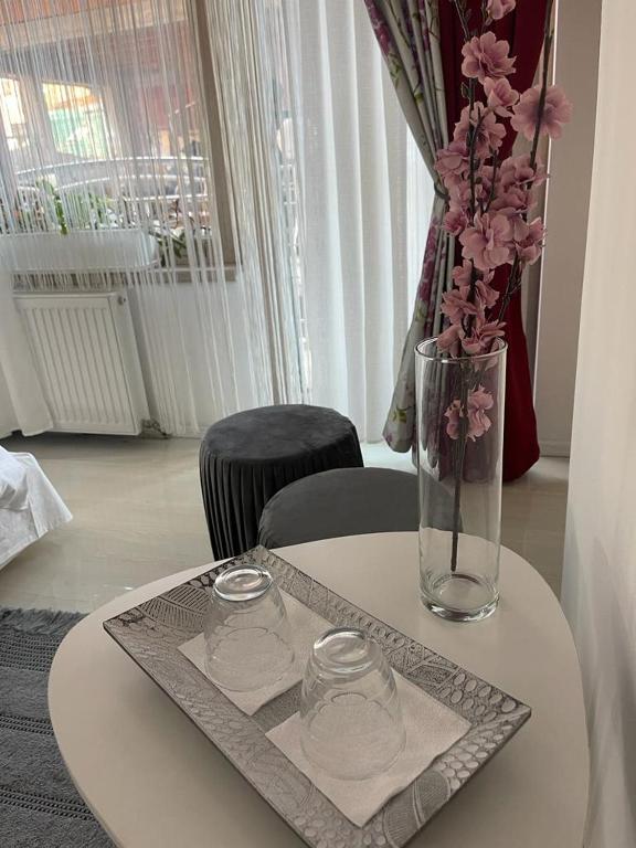 Fotografie z fotogalerie ubytování Negrean Residence v destinaci Oradea