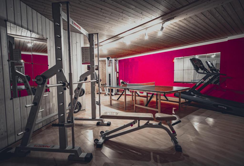 Posilňovňa alebo fitness centrum v ubytovaní Hotel Planac