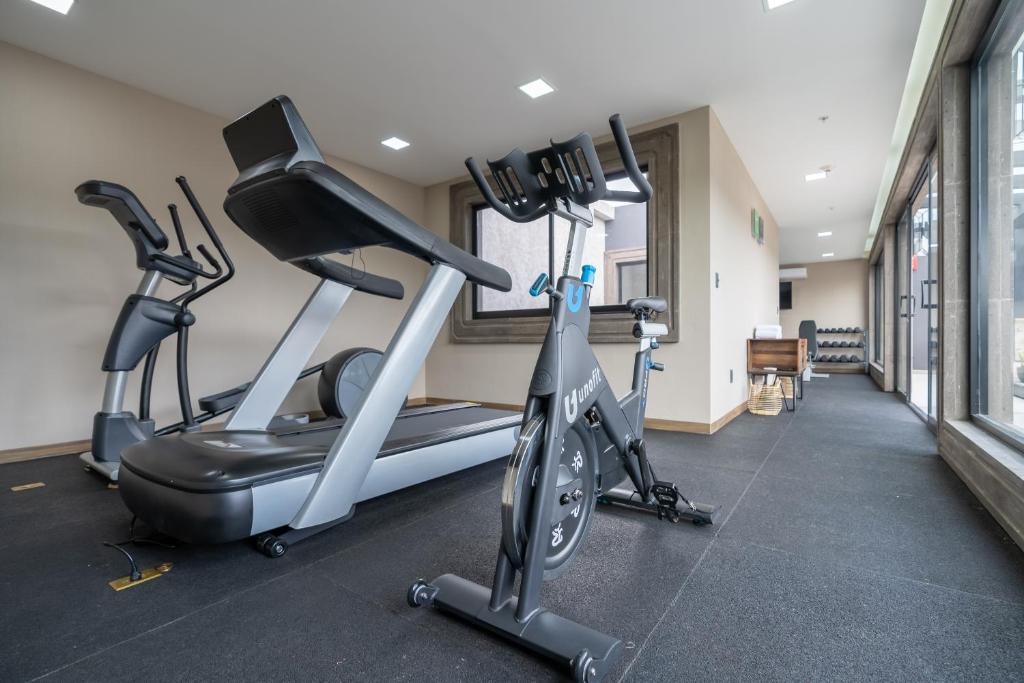Fitness centrum a/nebo fitness zařízení v ubytování Hotel Patio Santiago