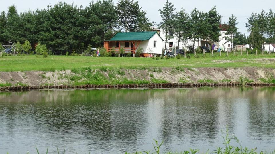 une maison avec un toit verdoyant à côté d'un lac dans l'établissement Agroturystyka u Wioli i Irka, domek u Elki , spływy kajakowe, à Karsin