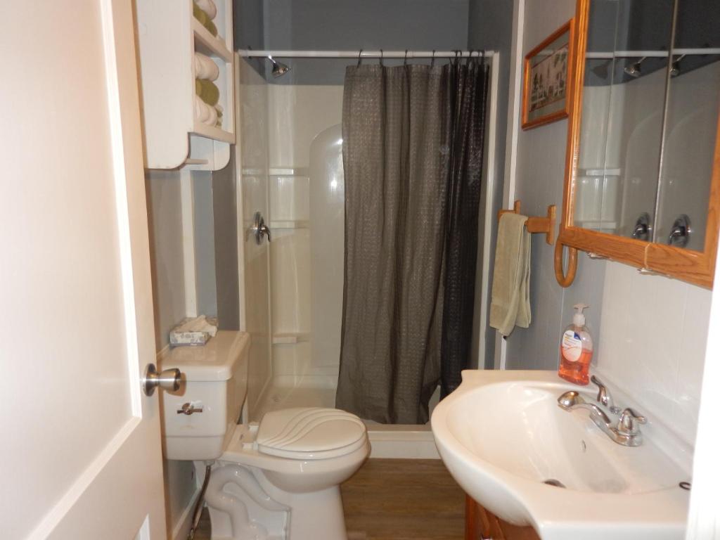 een badkamer met een toilet, een wastafel en een douche bij Wagon Wheel Resort Lake Norfork in Gamaliel