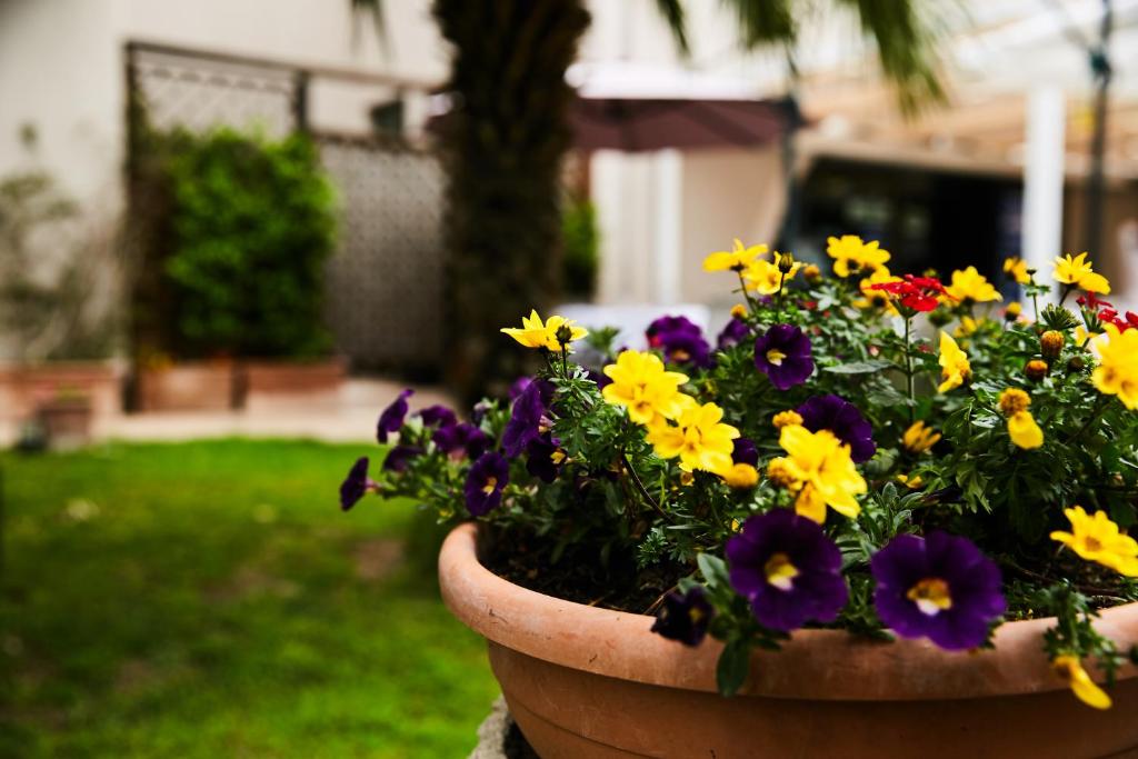 Zahrada ubytování HOTEL VULCI