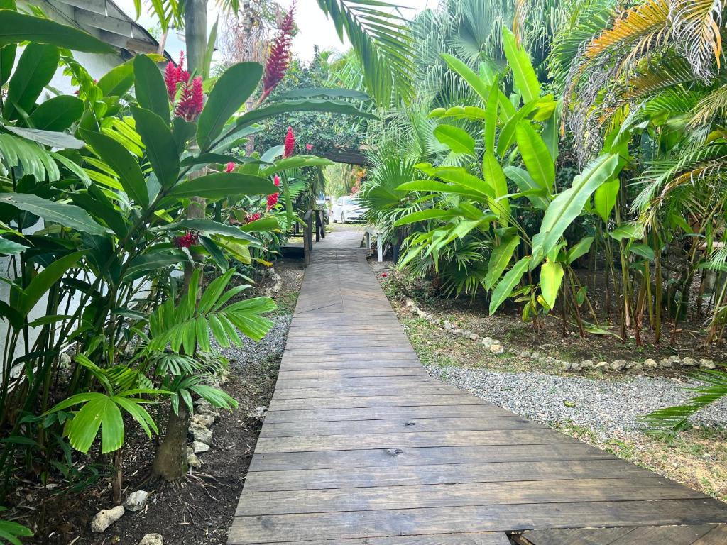 Zahrada ubytování Jamaica Colors Hotel and Eco-Retreat