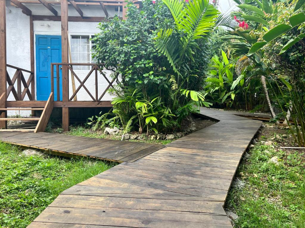 Zahrada ubytování Jamaica Colors Hotel and Eco-Retreat