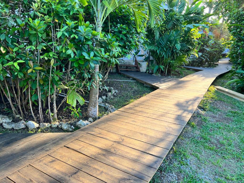 Zahrada ubytování Jamaica Colors Hotel and Eco-Retreat