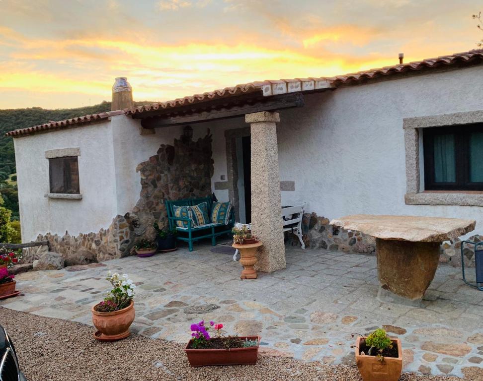 聖安托尼奧迪加盧拉的住宿－Residenza Mika，房屋设有1个带桌子和盆栽植物的庭院