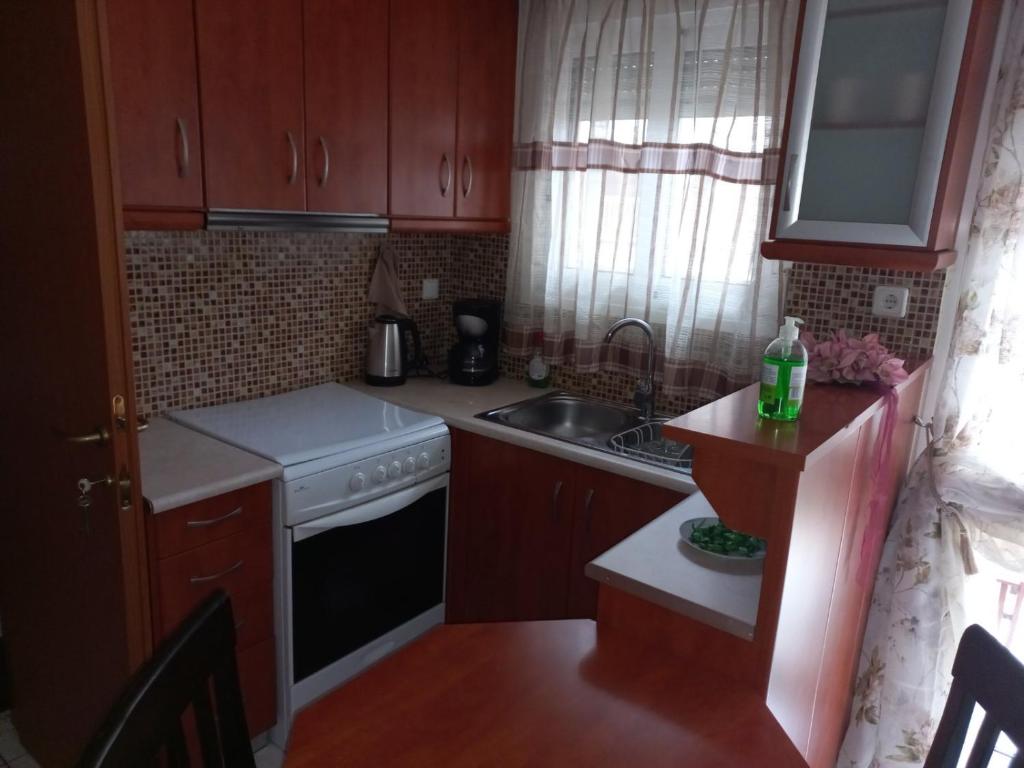 a small kitchen with a sink and a stove at Ιάνθη studio in Karditsa