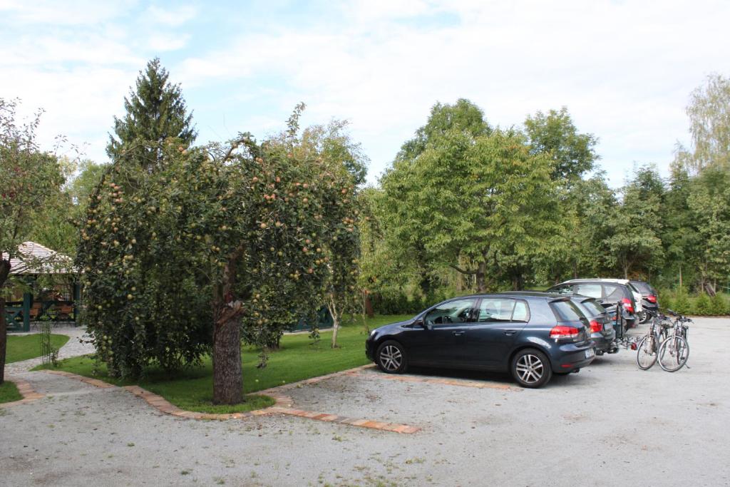 Spree Chalet - adults only - 12