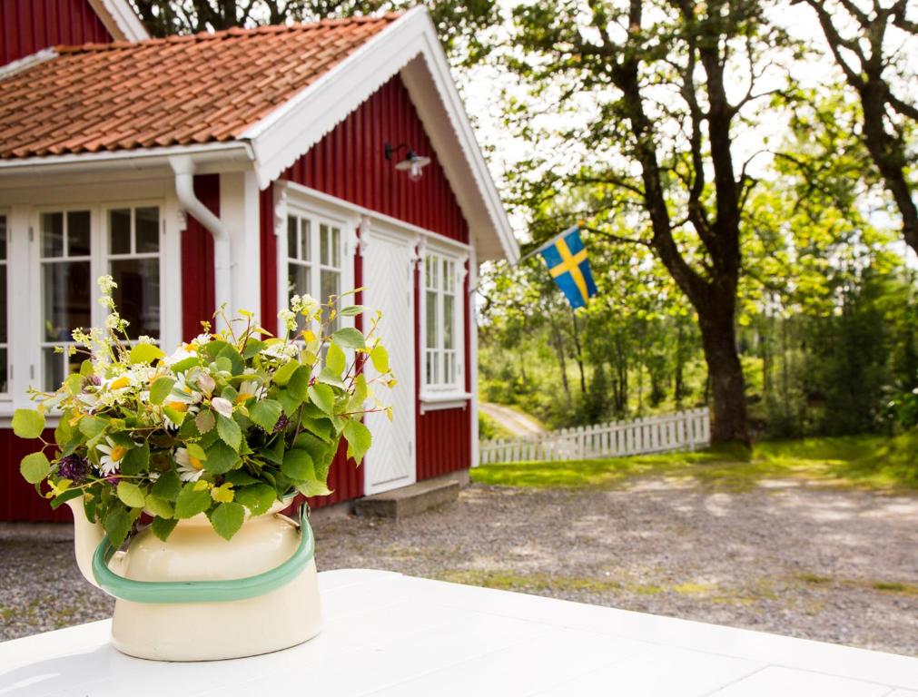 a flower pot sitting on a table in front of a smallshed at Grandma's cottage in Tanum