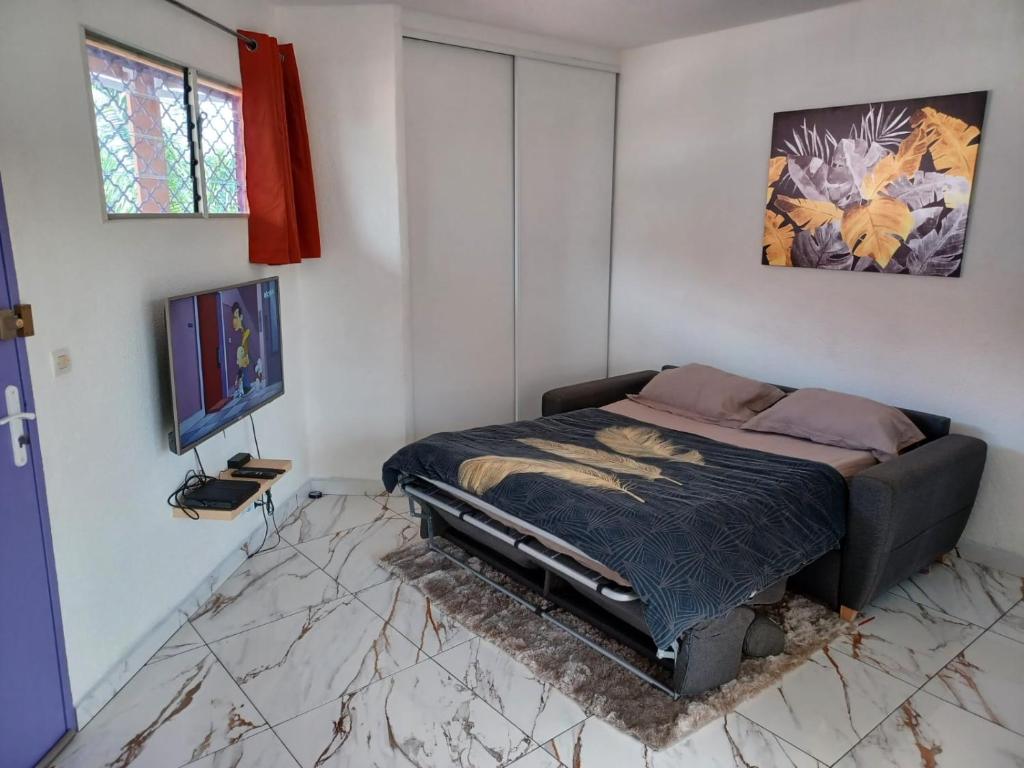 a bedroom with a bed and a flat screen tv at Le Studio de Jo in Cayenne