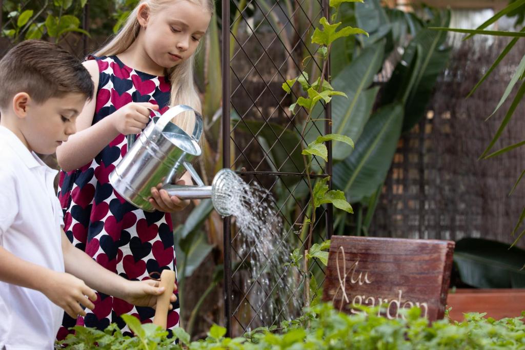 JW Marriott Gold Coast Resort & Spa - Resim 27