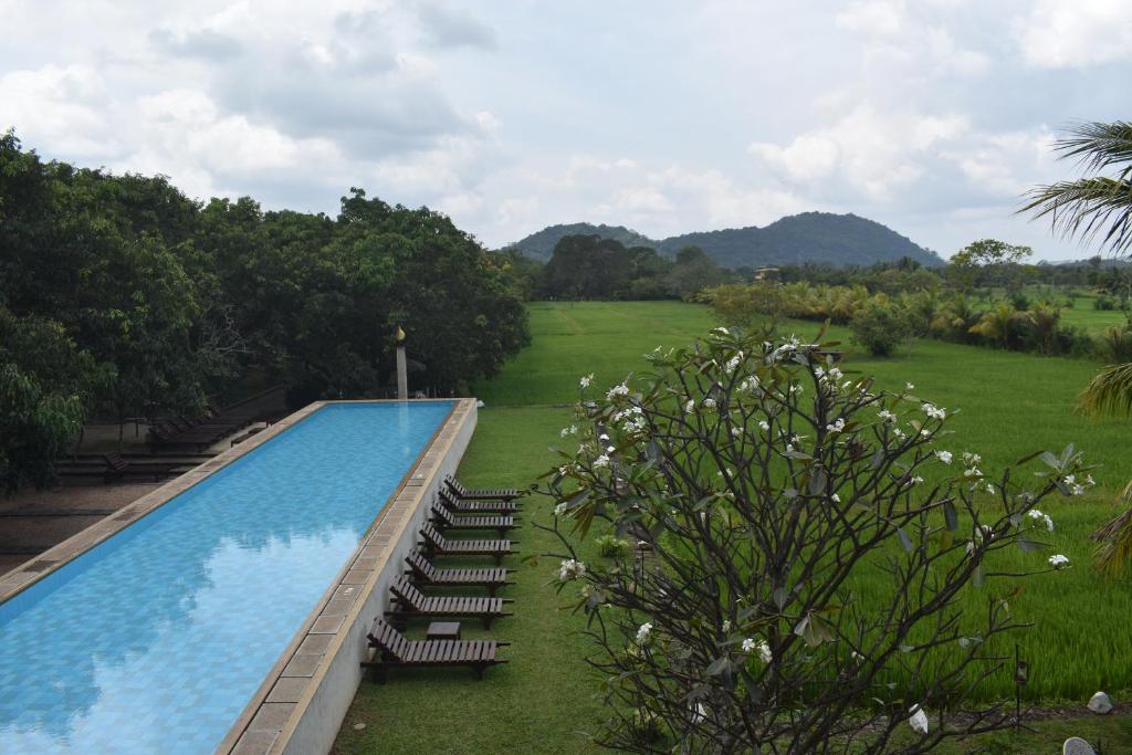 Bazén v ubytování Sigiriana Resort by Thilanka nebo v jeho okolí