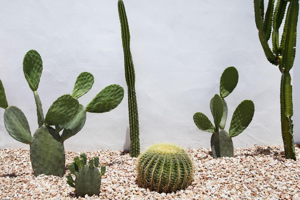 Tessa's on the Beach - Resim 36