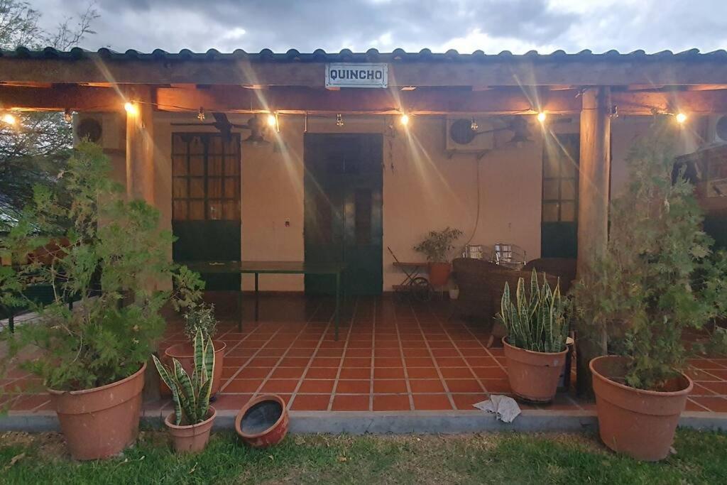 eine Terrasse mit Topfpflanzen vor einem Haus in der Unterkunft Nuestro Quincho in La Rioja