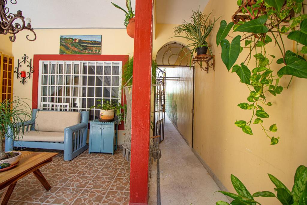 Zahrada ubytování La Casa Del Almendro