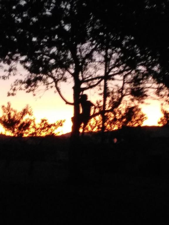 Kaiaua Bayview Farm Apartment - Resim 38