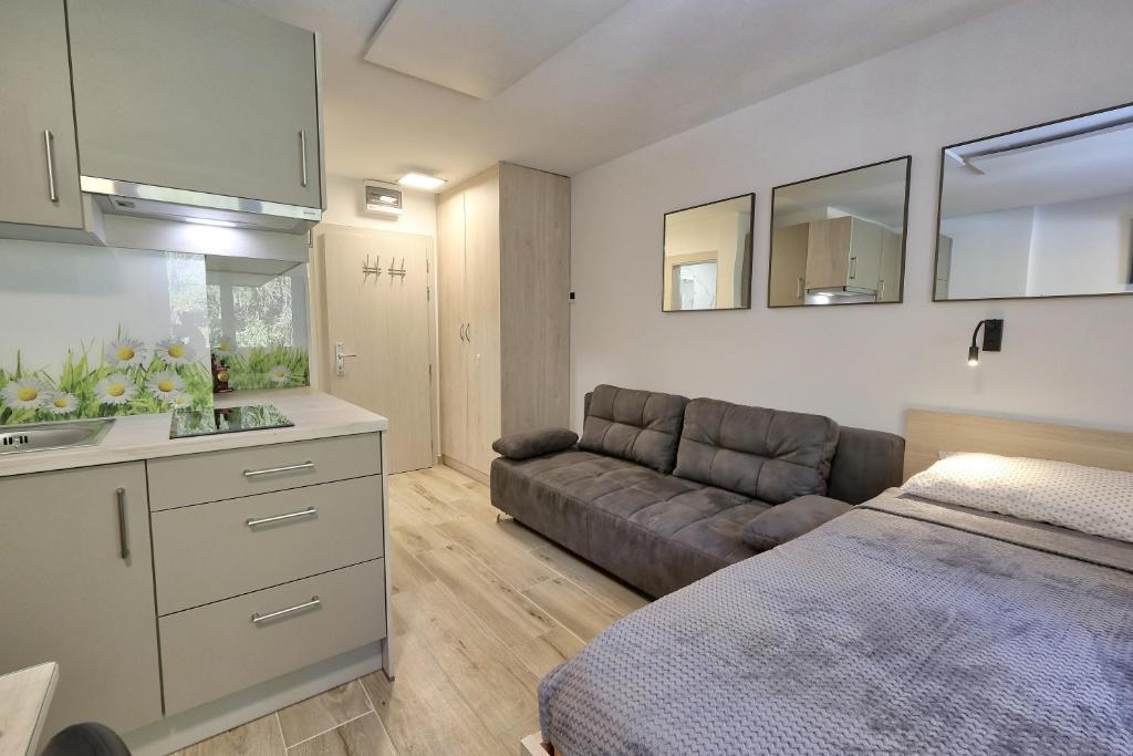 克拉尼斯卡戈拉Studio Pika的客厅配有沙发和一张床