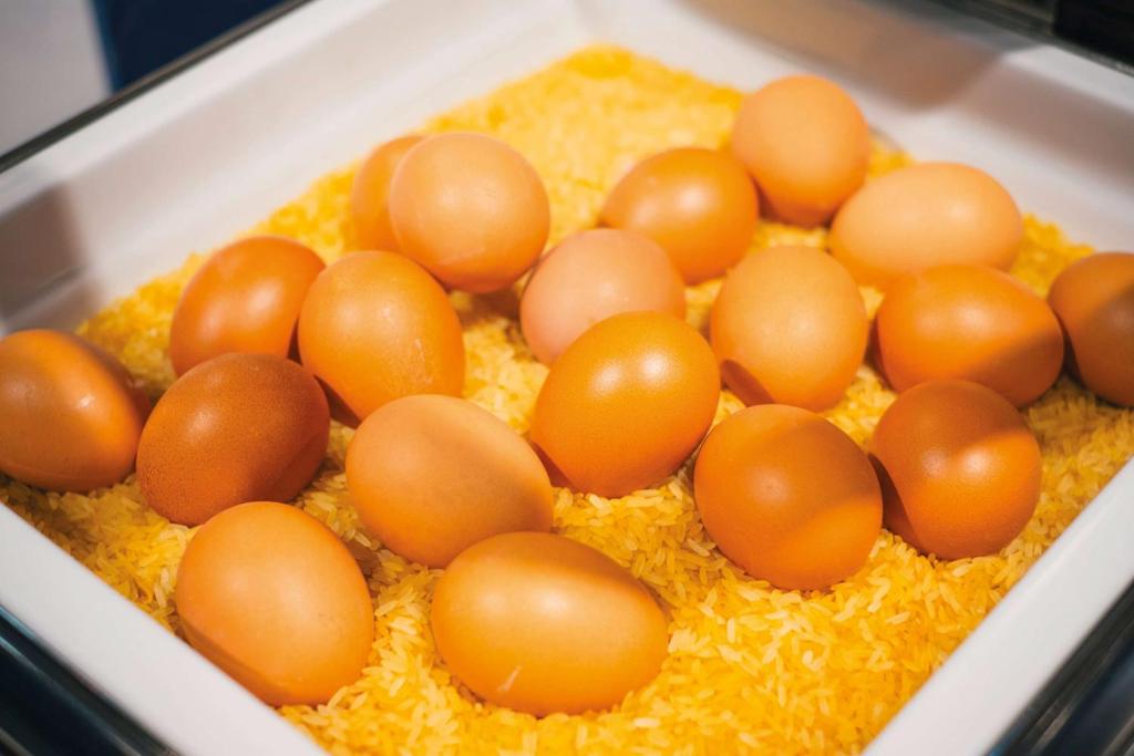 Vienna House Easy by Wyndham Leipzig - Resim 25