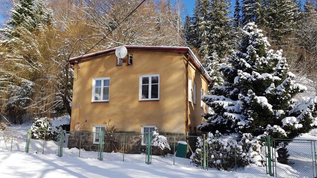 een klein geel huis in de sneeuw naast een boom bij Ubytování U Trůdy in Smržovka