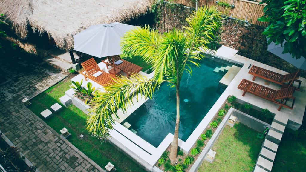 een uitzicht over een zwembad met een palmboom bij Dalai Tropical in Kuta Lombok