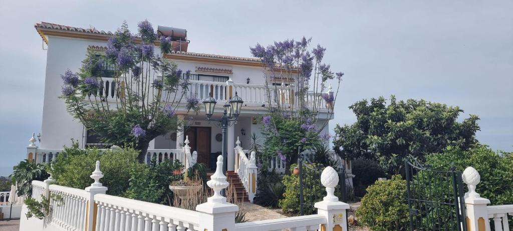 Villa-Charo-Algarrobo-Costa-del-Sol-Salzwasser-Pool-Meerblick ...