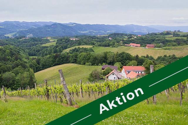 ein grünes Zeichen, das die Aufmerksamkeit auf einem Feld von Reben liest in der Unterkunft Weingut - Gästezimmer Resch Ludwig vlg. Powoden in Leutschach