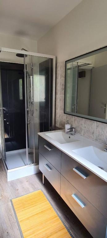 a bathroom with a large sink and a shower at Résidence Auger in Bourges