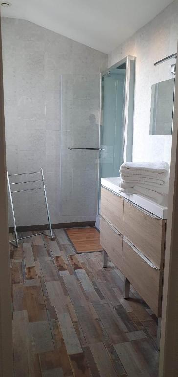 a bathroom with a shower and a sink and a mirror at Résidence Auger in Bourges