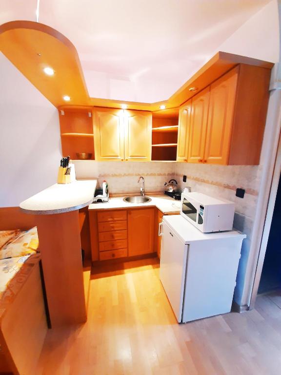 Kuchyň nebo kuchyňský kout v ubytování Apartmány Goral Oravice