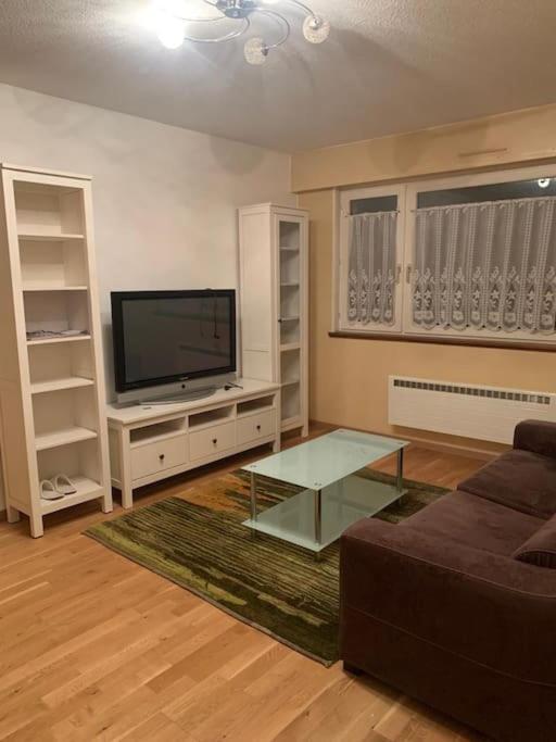 ein Wohnzimmer mit einem Sofa und einem TV in der Unterkunft Appartement - Bischheim in Bischheim