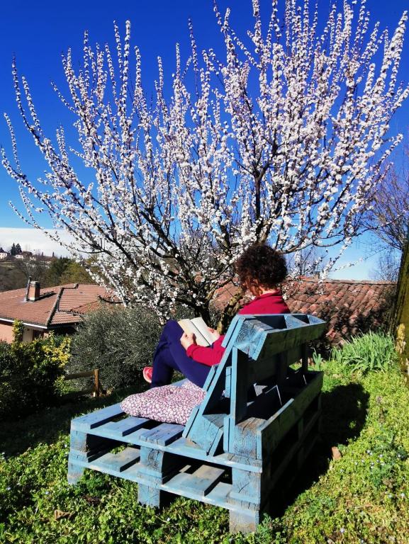 Ogród w obiekcie Casa Graziella - la casetta