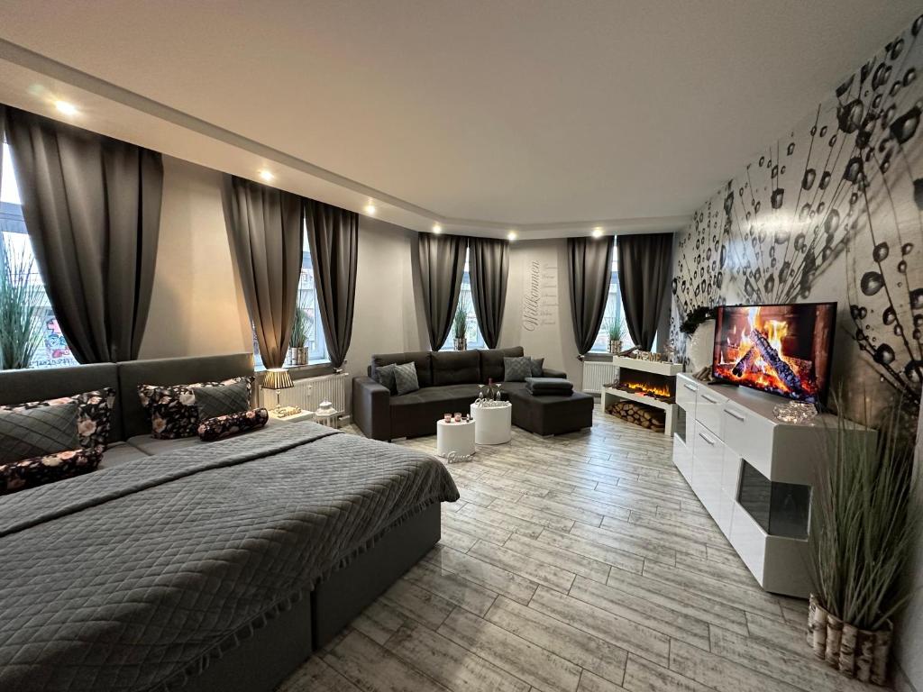 um quarto com uma cama e uma televisão de ecrã plano em Ferienwohnungen in Erfurt em Erfurt
