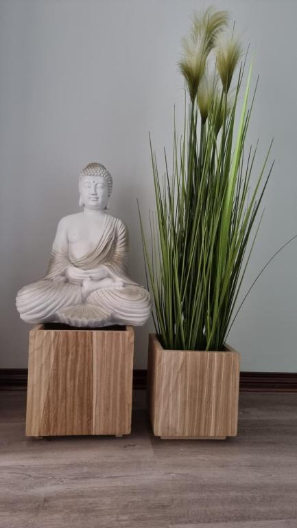 a statue of a buddha and a potted plant at Casa Atlantic'Amar in Ribamar