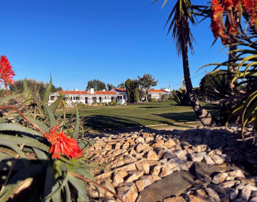 un jardin avec des rochers, un palmier et une maison dans l'établissement Herdade do Kuanza, à Zambujeira do Mar