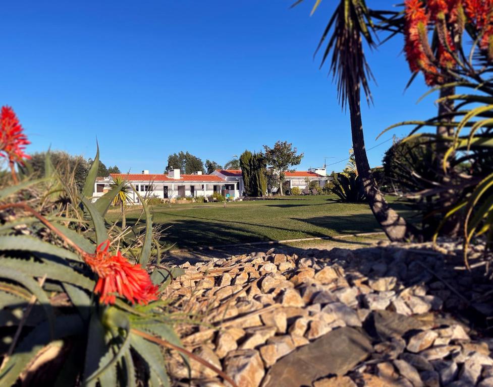 einen Garten mit Felsen und Palmen und ein Haus in der Unterkunft Herdade do Kuanza in Zambujeira do Mar